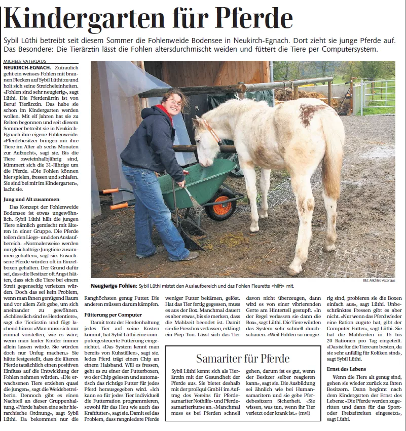 Kindergarten für Pferde